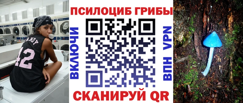 купить закладку  МЕГА маркетплейс  Галлюциногенные грибы ЛСД  Казань 